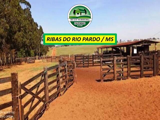 #7666 - Fazenda para Venda em Ribas do Rio Pardo - MS - 3