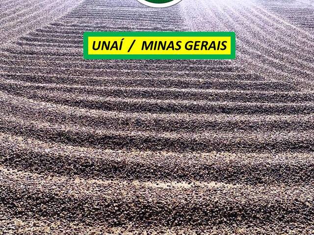 #7676 - Fazenda para Venda em Unaí - MG - 1