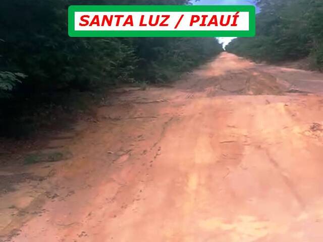 #6611 - ÁREA para Venda em Santa Luz - PI - 2