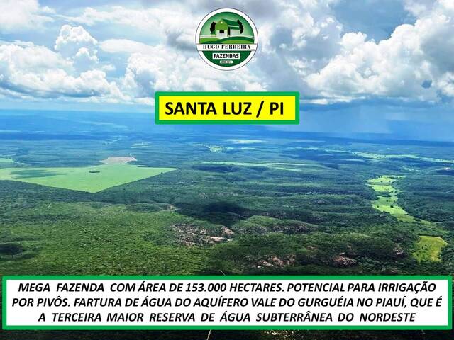 #6611 - ÁREA para Venda em Santa Luz - PI - 1
