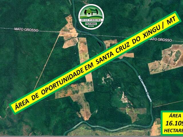 #7696 - ÁREA para Venda em Santa Cruz do Xingu - MT - 1