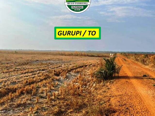 #7700 - Fazenda para Venda em Gurupi - TO - 3