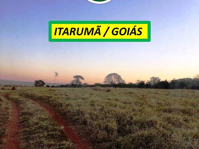 #7711 - Fazenda para Venda em Itarumã - GO - 1
