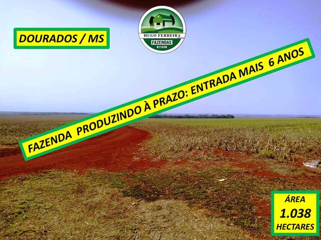 #7722 - Fazenda para Venda em Dourados - MS - 2