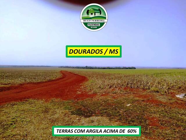 #7722 - Fazenda para Venda em Dourados - MS - 3