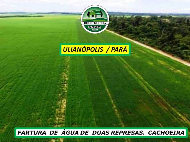 #7741 - Fazenda para Venda em Ulianópolis - PA - 2