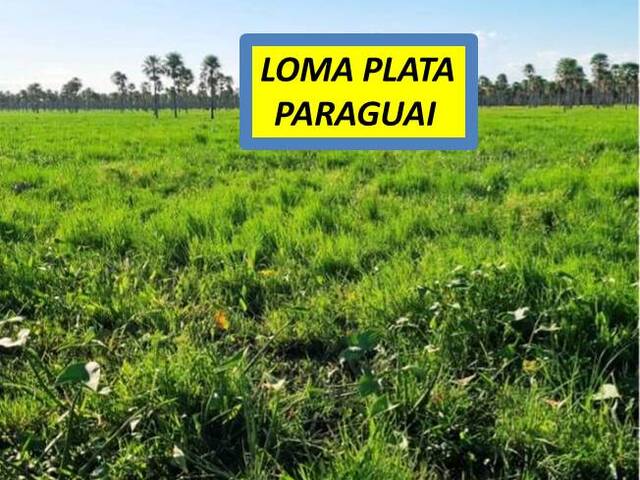 #7755 - Fazenda para Venda em Loma Plata - PY-19 - 2