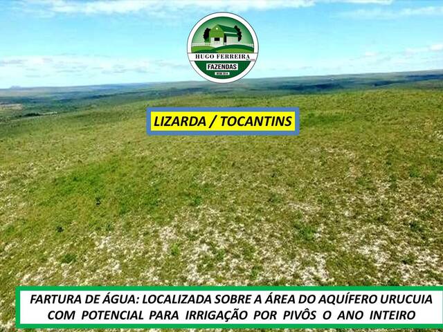 #7799 - Fazenda para Venda em Lizarda - TO - 2