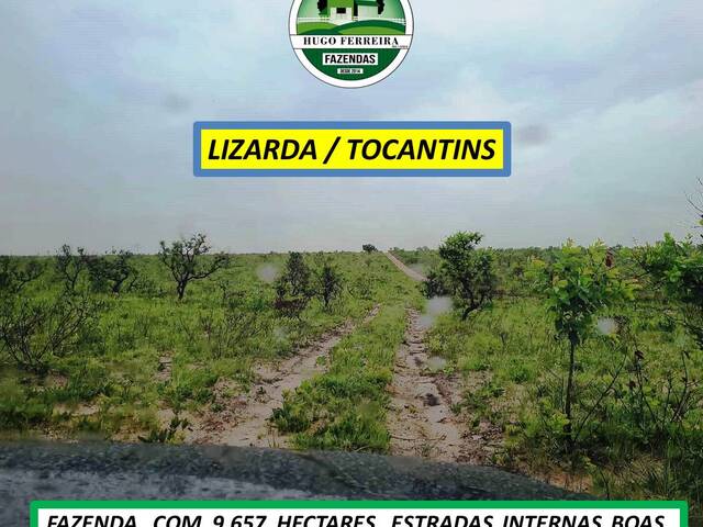 #7799 - Fazenda para Venda em Lizarda - TO - 3