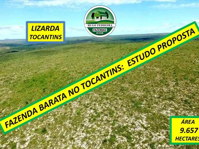 #7799 - Fazenda para Venda em Lizarda - TO - 1