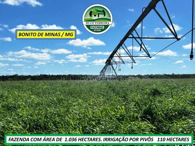 #7800 - Fazenda para Venda em Bonito de Minas - MG - 1