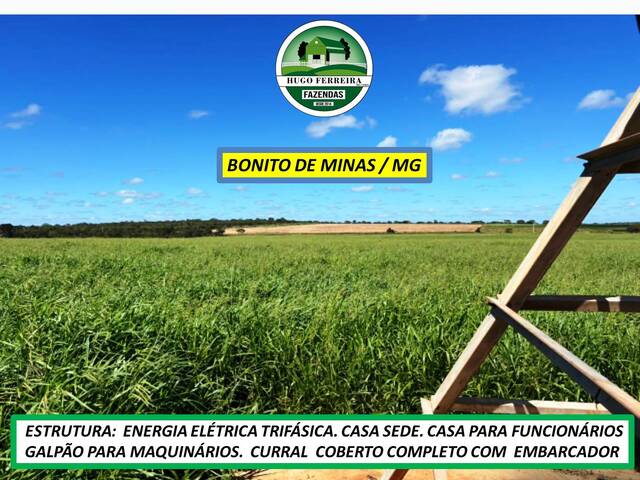 #7800 - Fazenda para Venda em Bonito de Minas - MG - 2