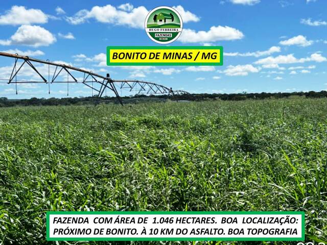 #7800 - Fazenda para Venda em Bonito de Minas - MG - 3