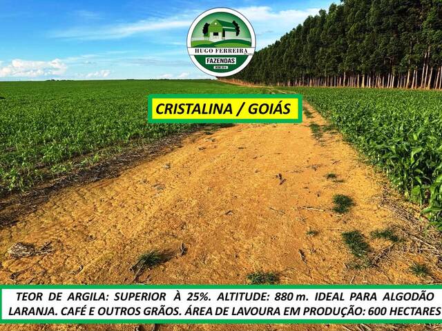 #7817 - Fazenda para Venda em Cristalina - GO - 3