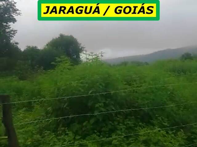 #7844 - Fazenda para Venda em Jaraguá - GO - 2