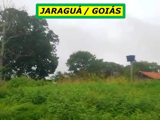 #7844 - Fazenda para Venda em Jaraguá - GO - 3