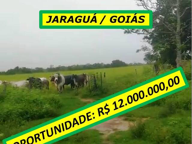#7844 - Fazenda para Venda em Jaraguá - GO - 1
