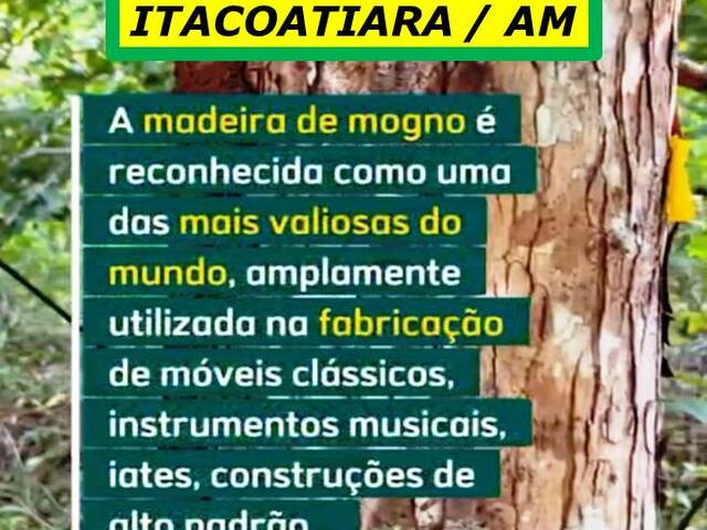 #7857 - Fazenda para Venda em Itacoatiara - AM - 1