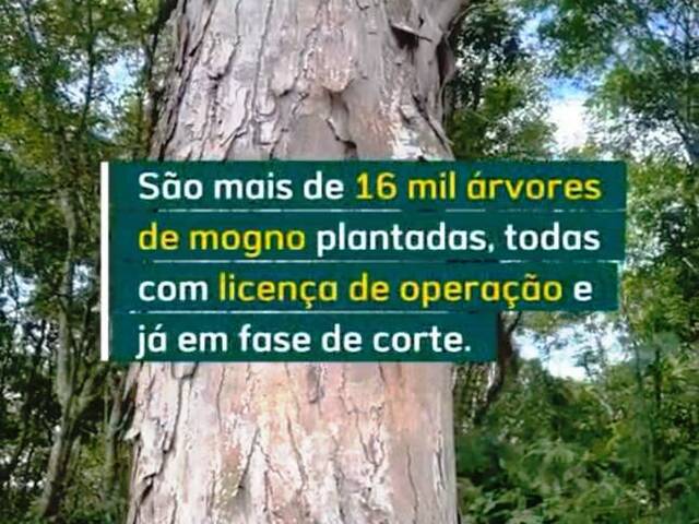 #7857 - Fazenda para Venda em Itacoatiara - AM - 2