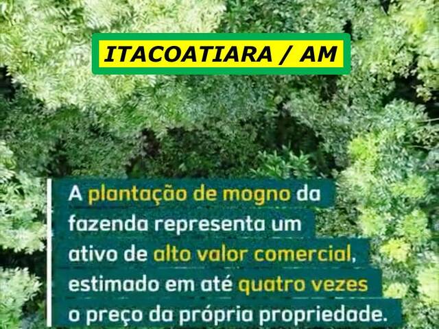 #7857 - Fazenda para Venda em Itacoatiara - AM - 3