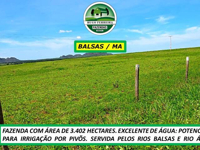 #7866 - Fazenda para Venda em Balsas - MA - 3