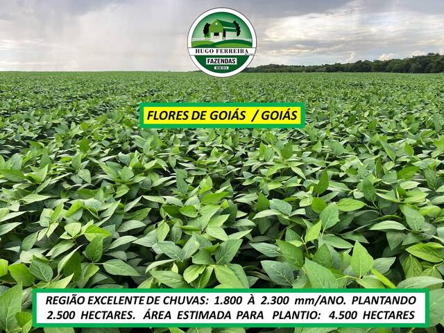 #7888 - Fazenda para Venda em São João d`Aliança - GO - 1