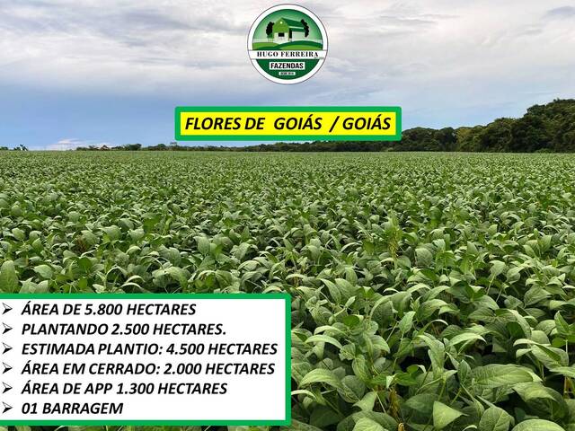 #7888 - Fazenda para Venda em São João d`Aliança - GO - 2
