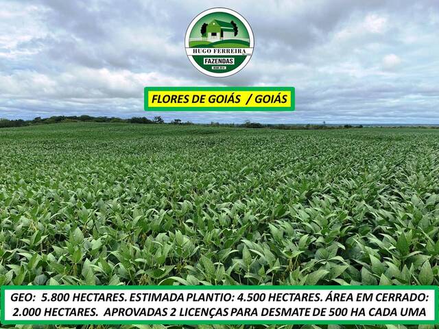 #7888 - Fazenda para Venda em São João d`Aliança - GO - 3