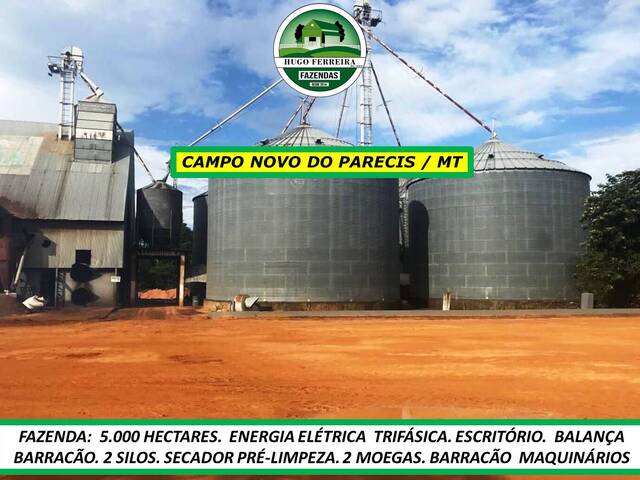 #7900 - Fazenda para Venda em Campo Novo do Parecis - MT - 2