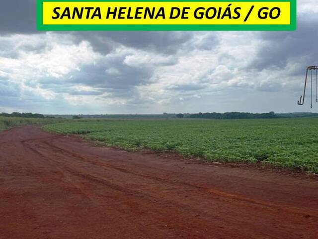 #7911 - Fazenda para Venda em Santa Helena de Goiás - GO - 3