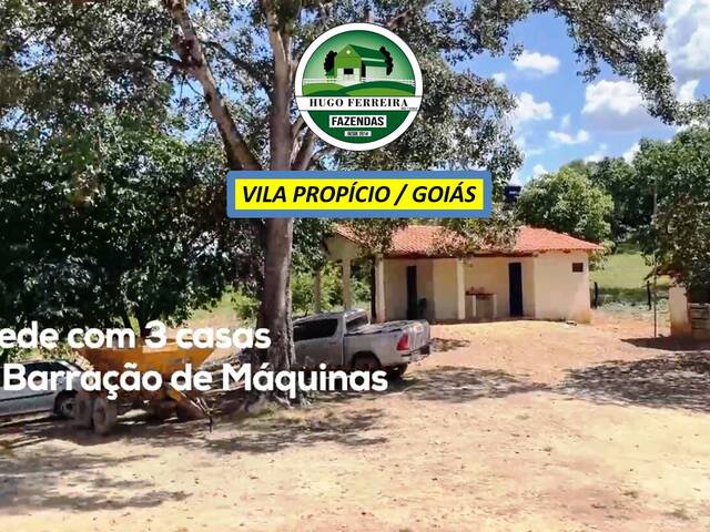 #7922 - Fazenda para Venda em Vila Propício - GO - 1