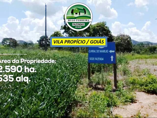 #7922 - Fazenda para Venda em Vila Propício - GO - 2