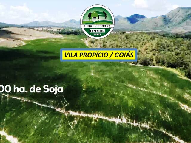 #7922 - Fazenda para Venda em Vila Propício - GO - 3