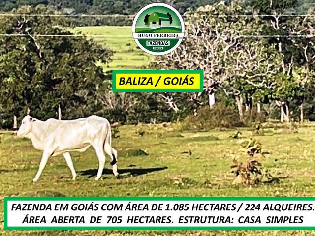 #7933 - Fazenda para Venda em Baliza - GO - 1