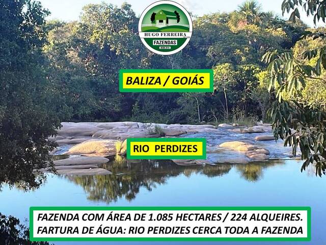 #7933 - Fazenda para Venda em Baliza - GO - 3