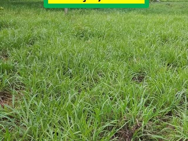 #7940 - Fazenda para Venda em Minaçu - GO - 1