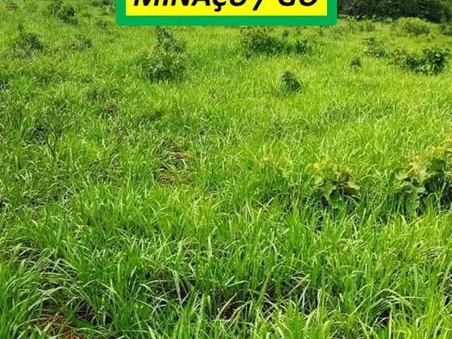#7940 - Fazenda para Venda em Minaçu - GO - 3