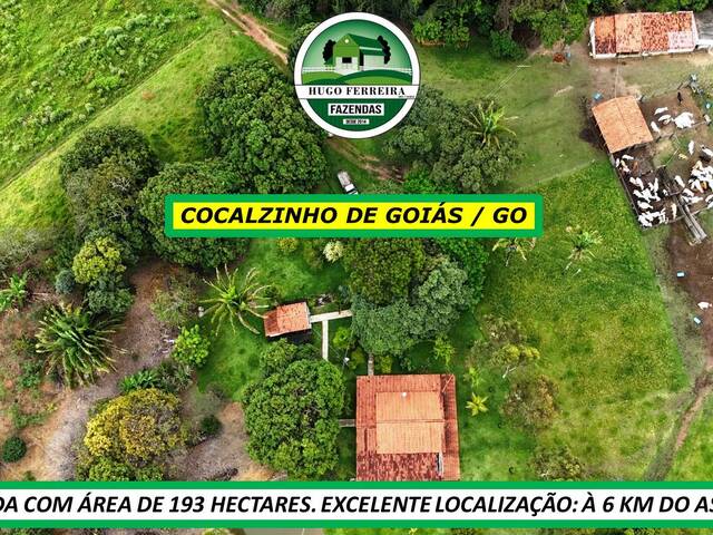 #7955 - Fazenda para Venda em Cocalzinho de Goiás - GO - 2