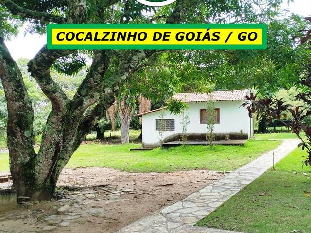 #7955 - Fazenda para Venda em Cocalzinho de Goiás - GO - 1