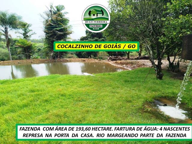 #7955 - Fazenda para Venda em Cocalzinho de Goiás - GO - 3