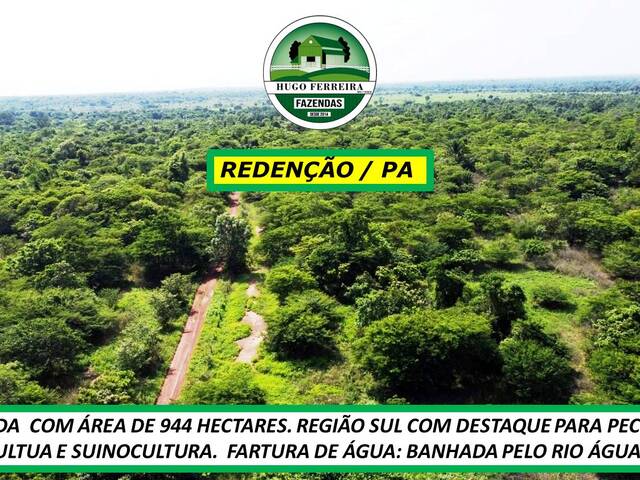 #7979 - Fazenda para Venda em Redenção - PA - 2