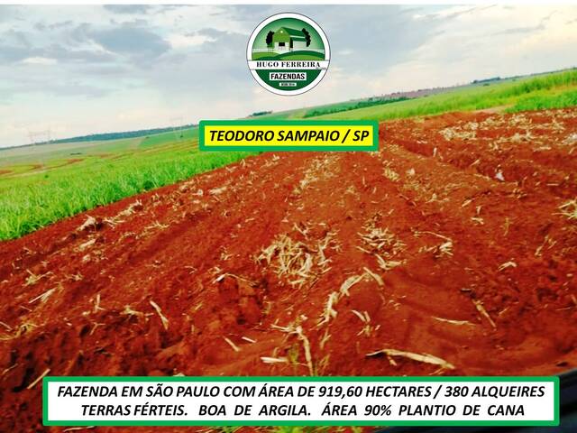#7988 - Fazenda para Venda em Teodoro Sampaio - SP - 1