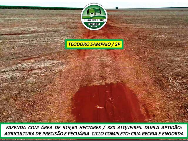 #7988 - Fazenda para Venda em Teodoro Sampaio - SP - 2