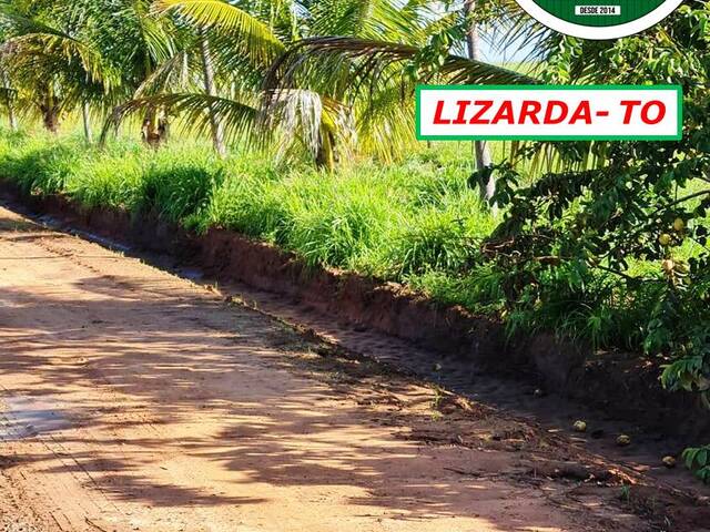 #8001 - Fazenda para Venda em Lizarda - TO - 2