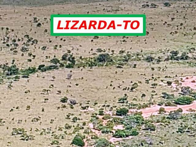 #8001 - Fazenda para Venda em Lizarda - TO - 3