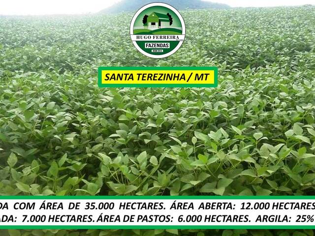 #8022 - Fazenda para Venda em Santa Terezinha - MT - 3