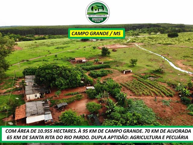 #8033 - Fazenda para Venda em Campo Grande - MS - 2