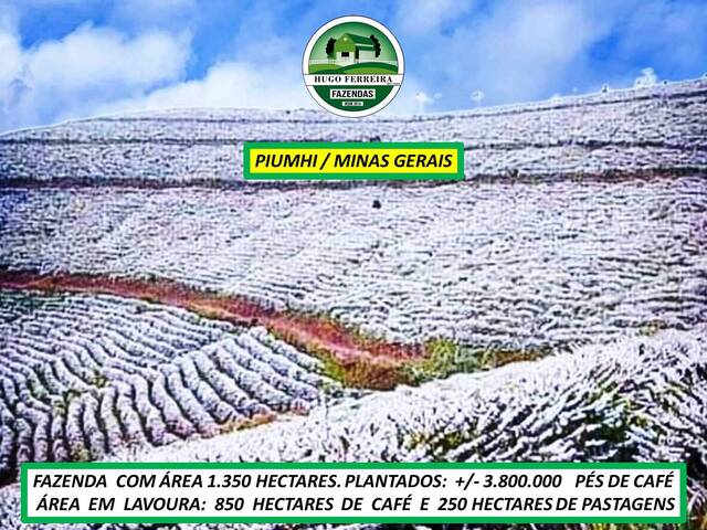 #8044 - Fazenda para Venda em Piumhi - MG - 2