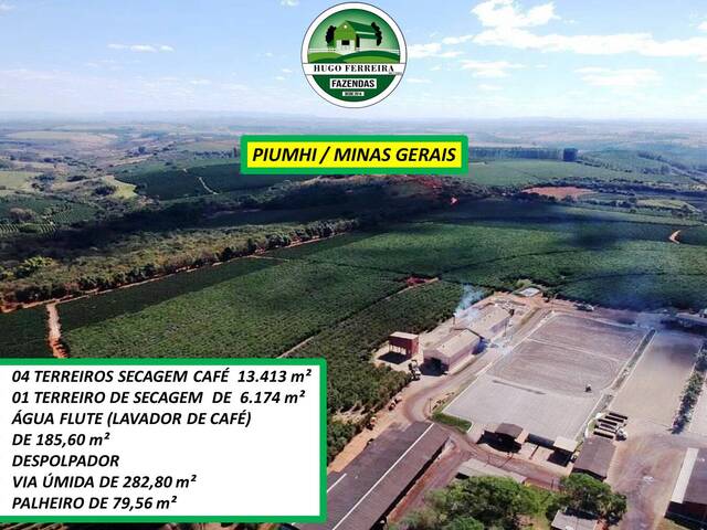 #8044 - Fazenda para Venda em Piumhi - MG - 3