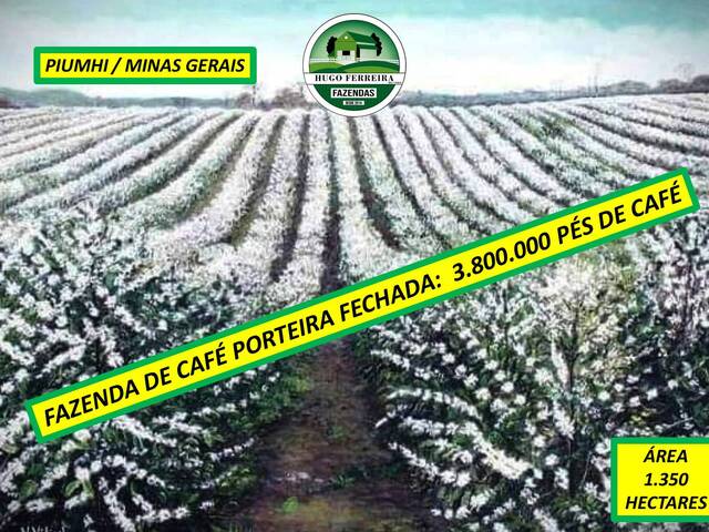 #8044 - Fazenda para Venda em Piumhi - MG - 1